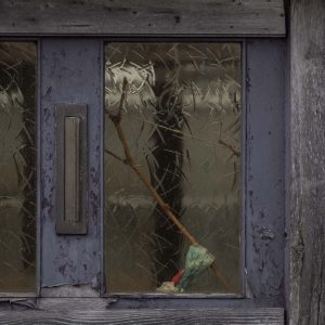 Annemarie-van-Hooff-CLoseUp-foto-op-dibond60x60cm-63