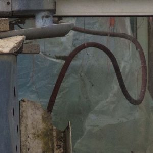 Annemarie-van-Hooff-CLoseUp-foto-op-dibond60x60cm-66