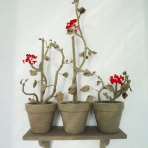 Annemarie-van-Hooff--Drie-Geraniums--