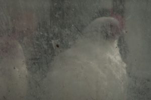 Annemarie van Hooff 'Sneeuw kippen' 2