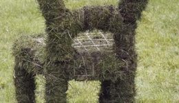 fi-grasinstallatie